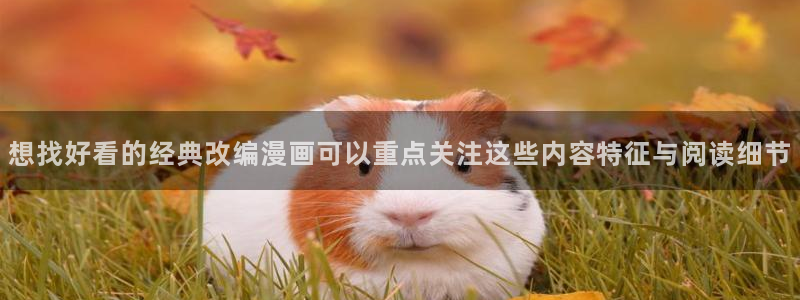 在线国漫