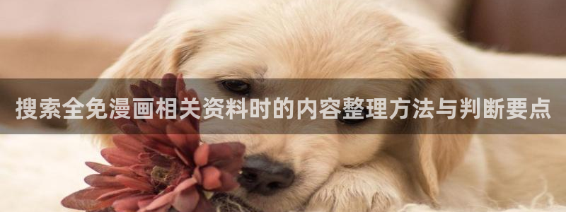 免费漫画网站推荐