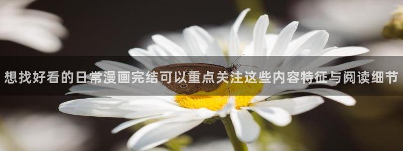 漫画网页入口:想找好看的日常漫画完结可以重点关注这些内容特征与阅读细节