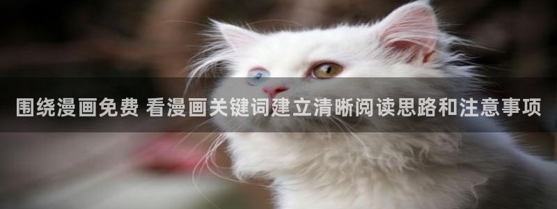 经典漫画:围绕漫画免费 看漫画关键词建立清晰阅读思路和注意事项