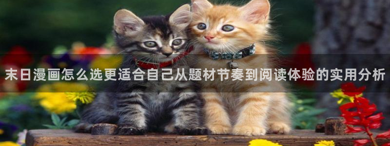 在线免费看漫画:末日漫画怎么选更适合自己从题材节奏到阅读体验的实用分析