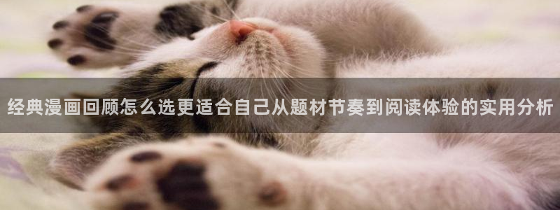 好用的漫画网站:经典漫画回顾怎么选更适合自己从题材节奏到阅读体验的实用分析