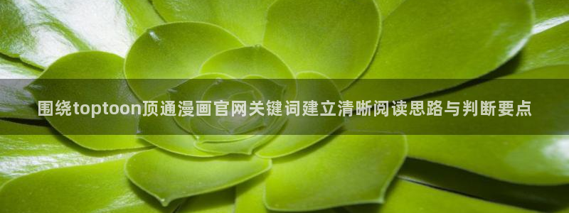 漫画网站免费观看:围绕toptoon顶通漫画官网关键词建立清晰阅读思路与判断要点